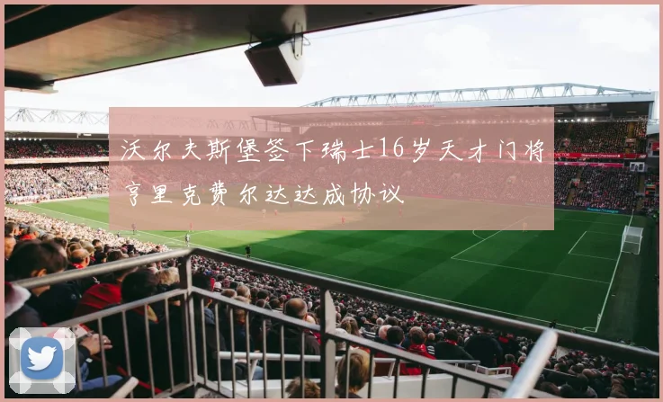沃尔夫斯堡签下瑞士16岁天才门将亨里克费尔达达成协议