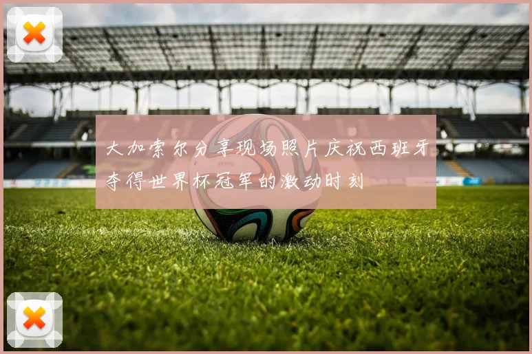 大加索尔分享现场照片庆祝西班牙夺得世界杯冠军的激动时刻